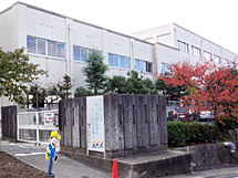 swZ